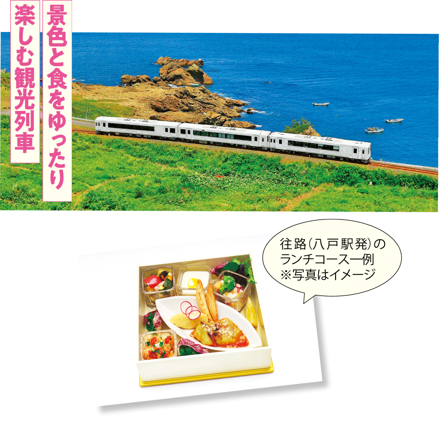 TOHOKU EMOTIONの写真