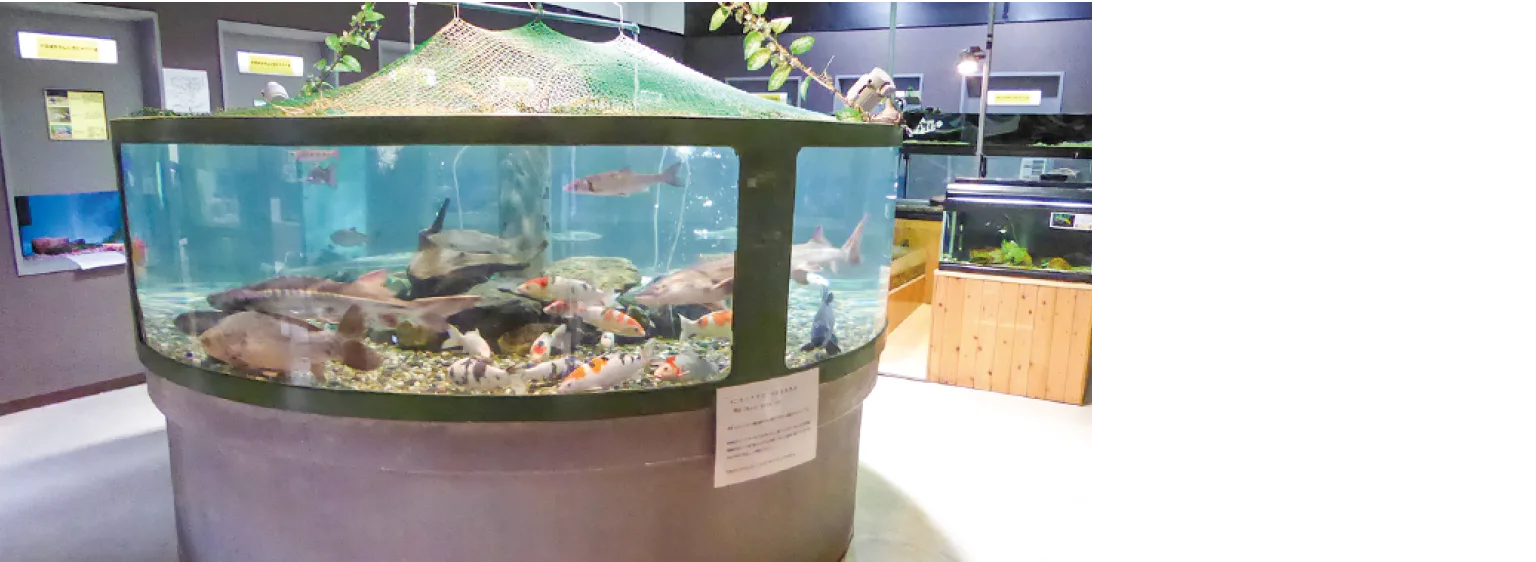 高千穂峡淡水魚水族館の画像