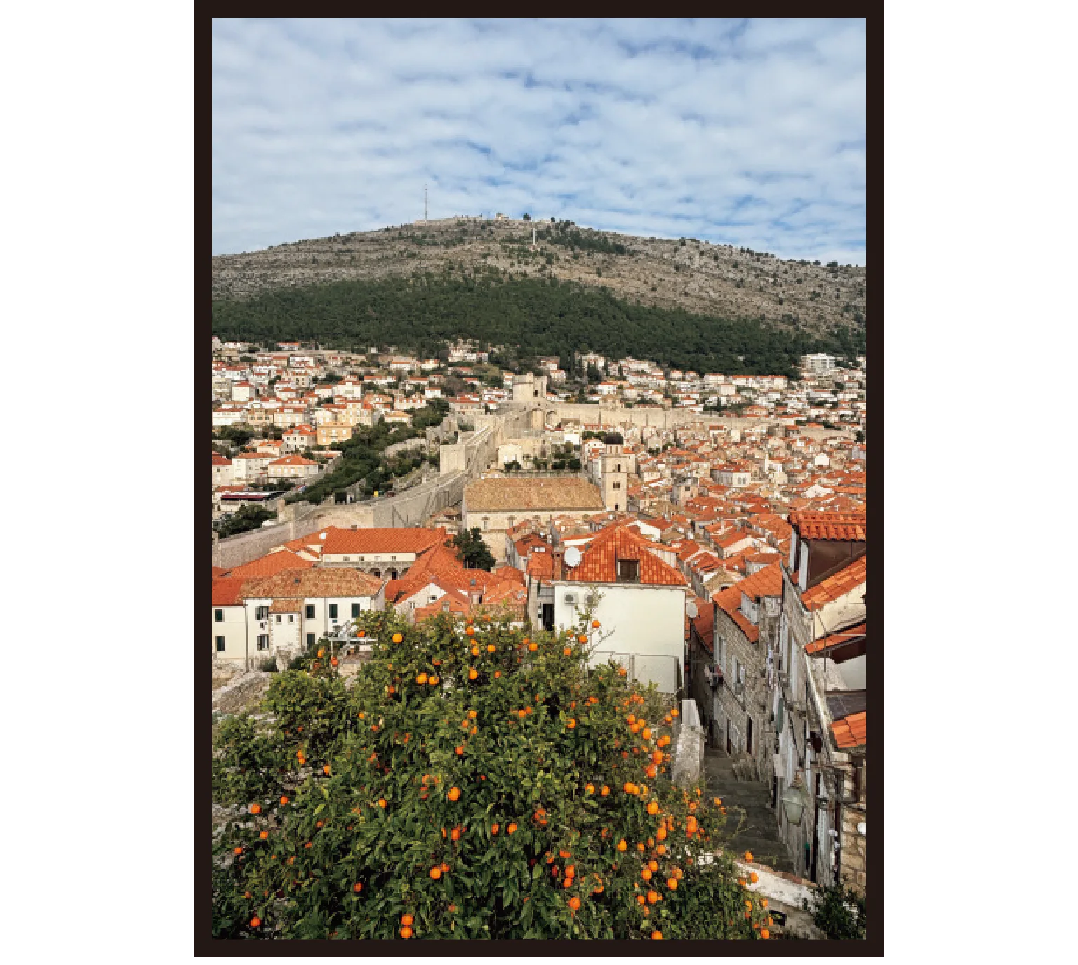 民族学博物館上付近からの紹介画像