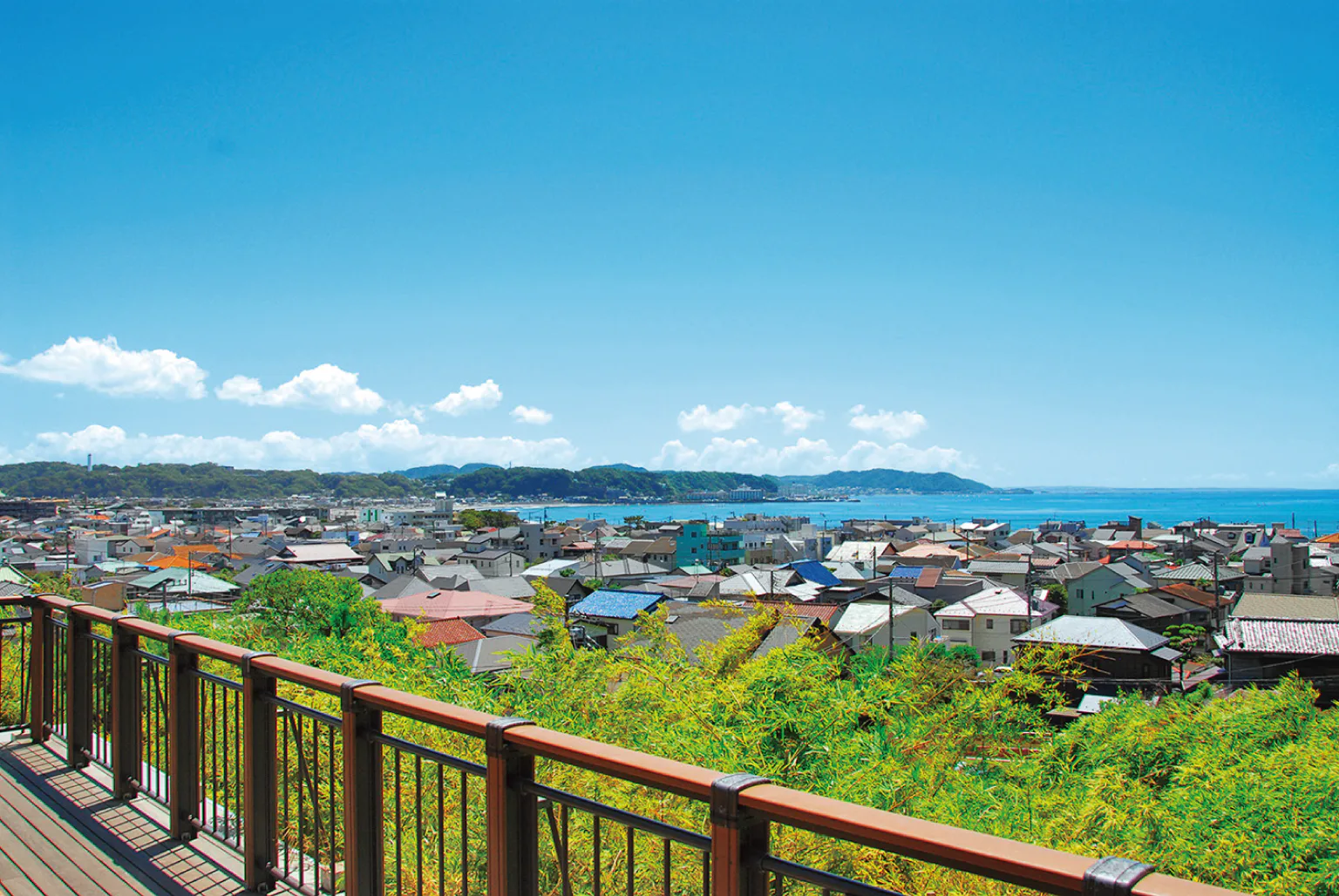 見晴台の画像