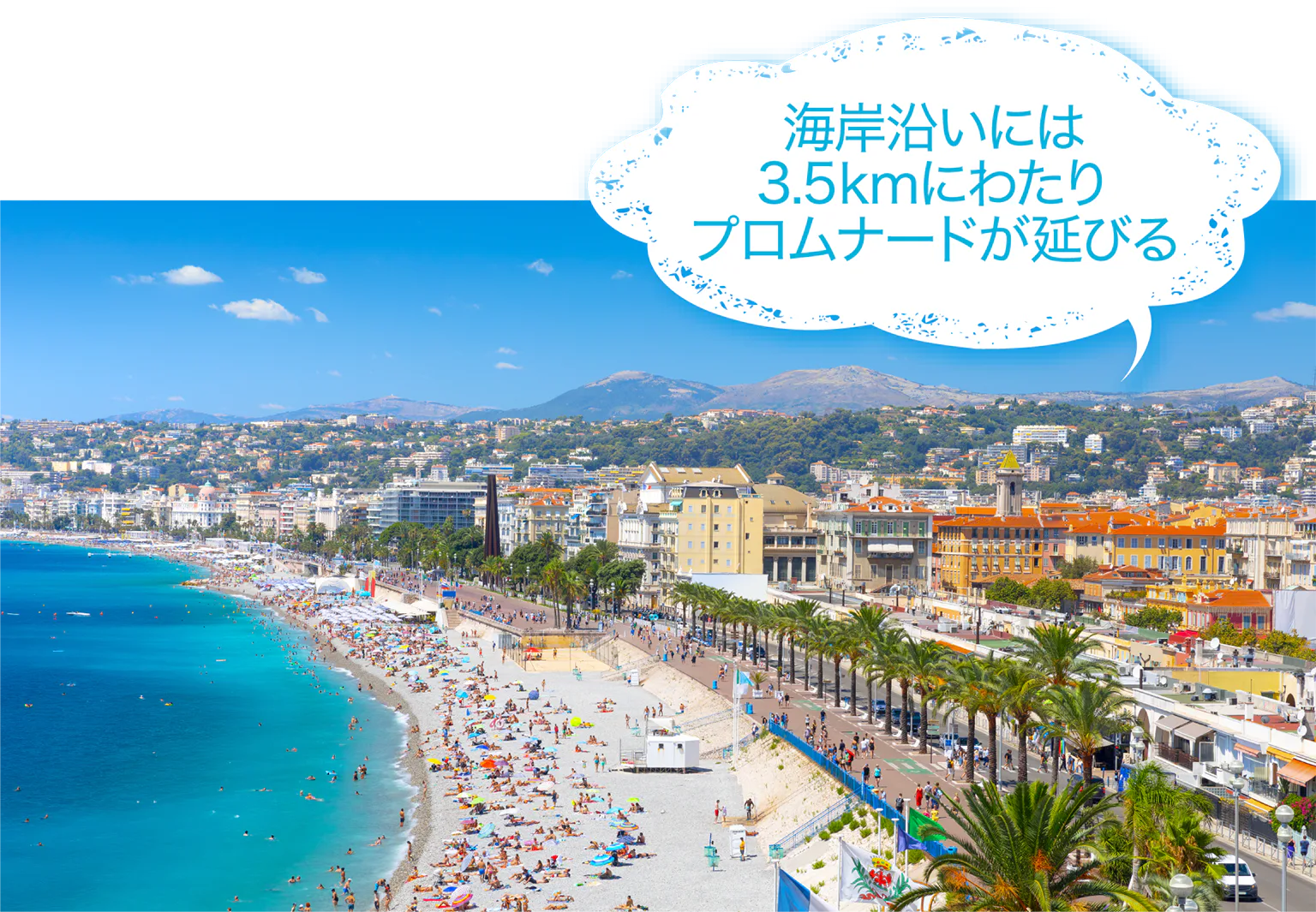 ニースの画像