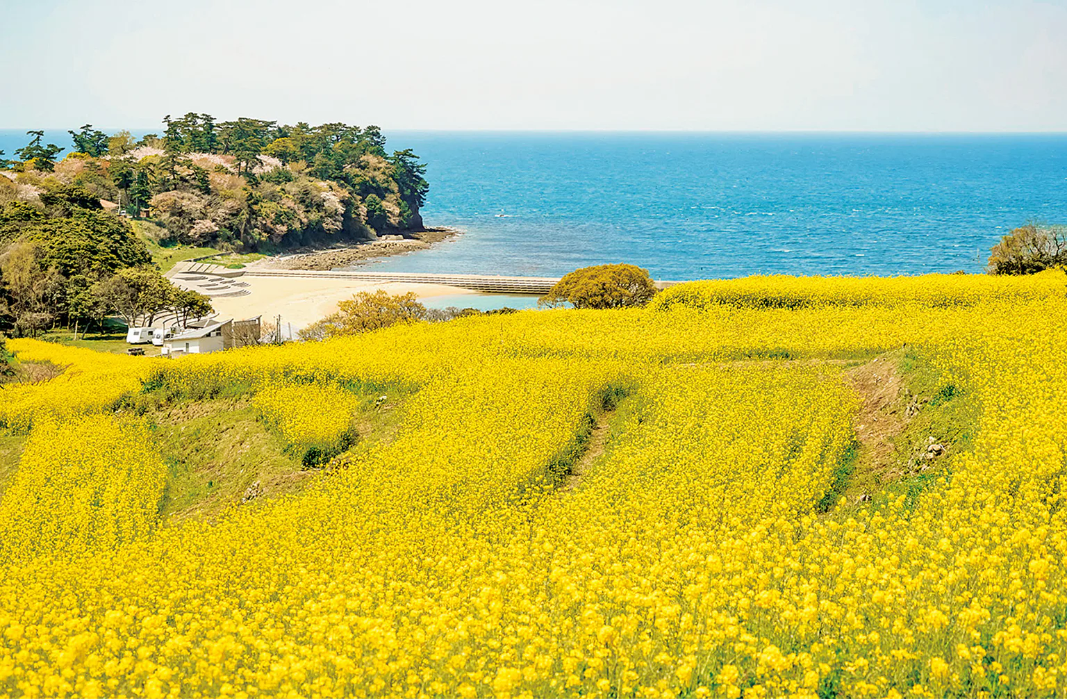 国東半島の画像