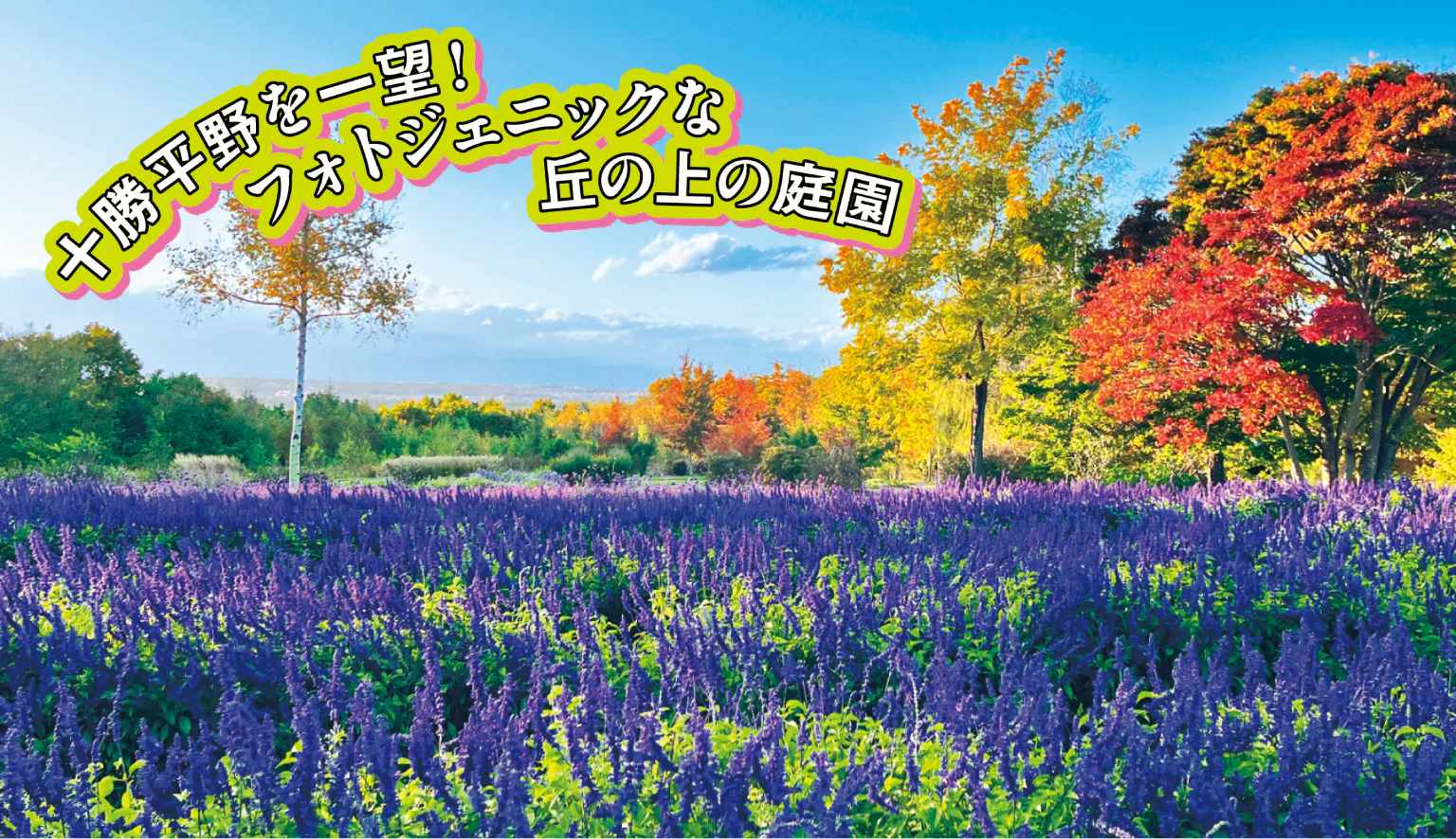 十勝ヒルズの写真