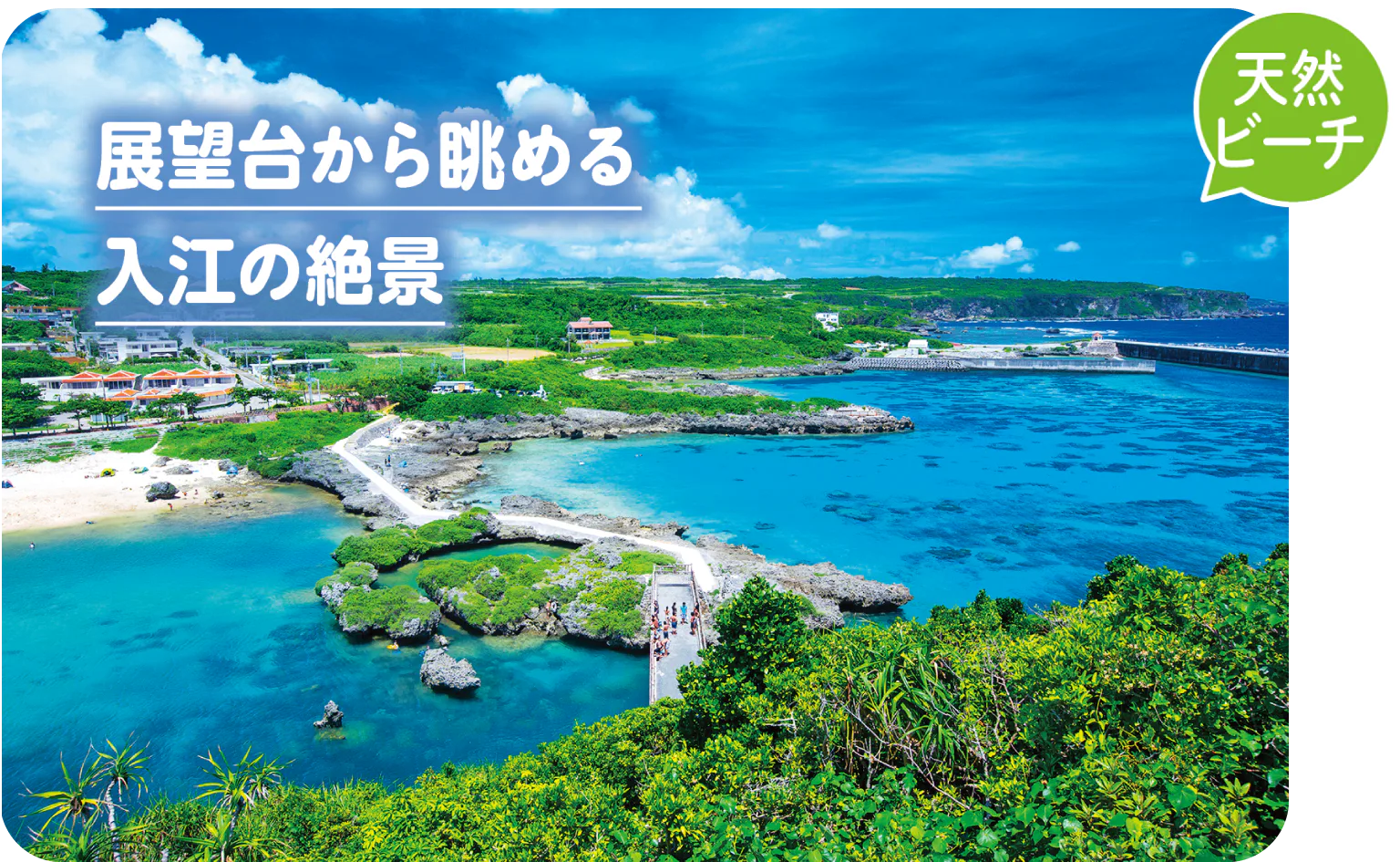 イムギャーマリンガーデンの画像