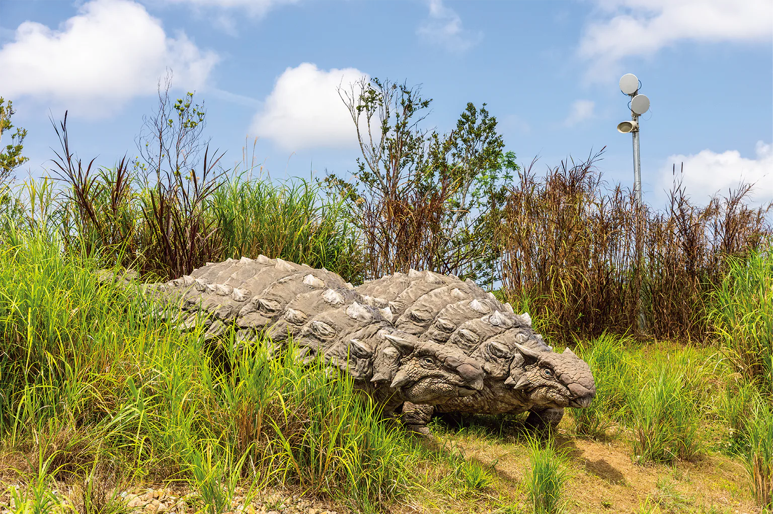 植物の陰から突如現れる恐竜の画像