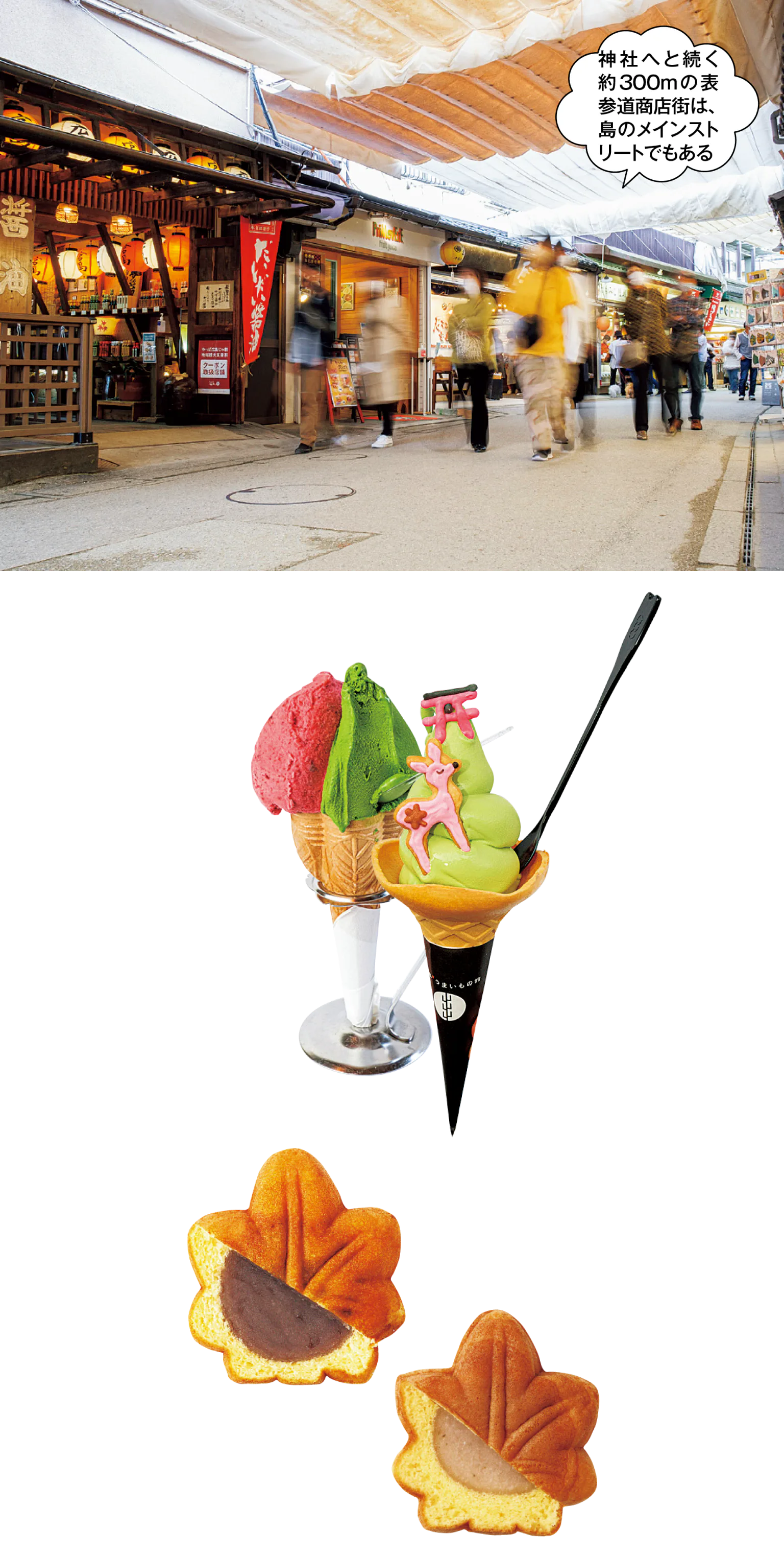 表参道商店街や島内を散策の画像