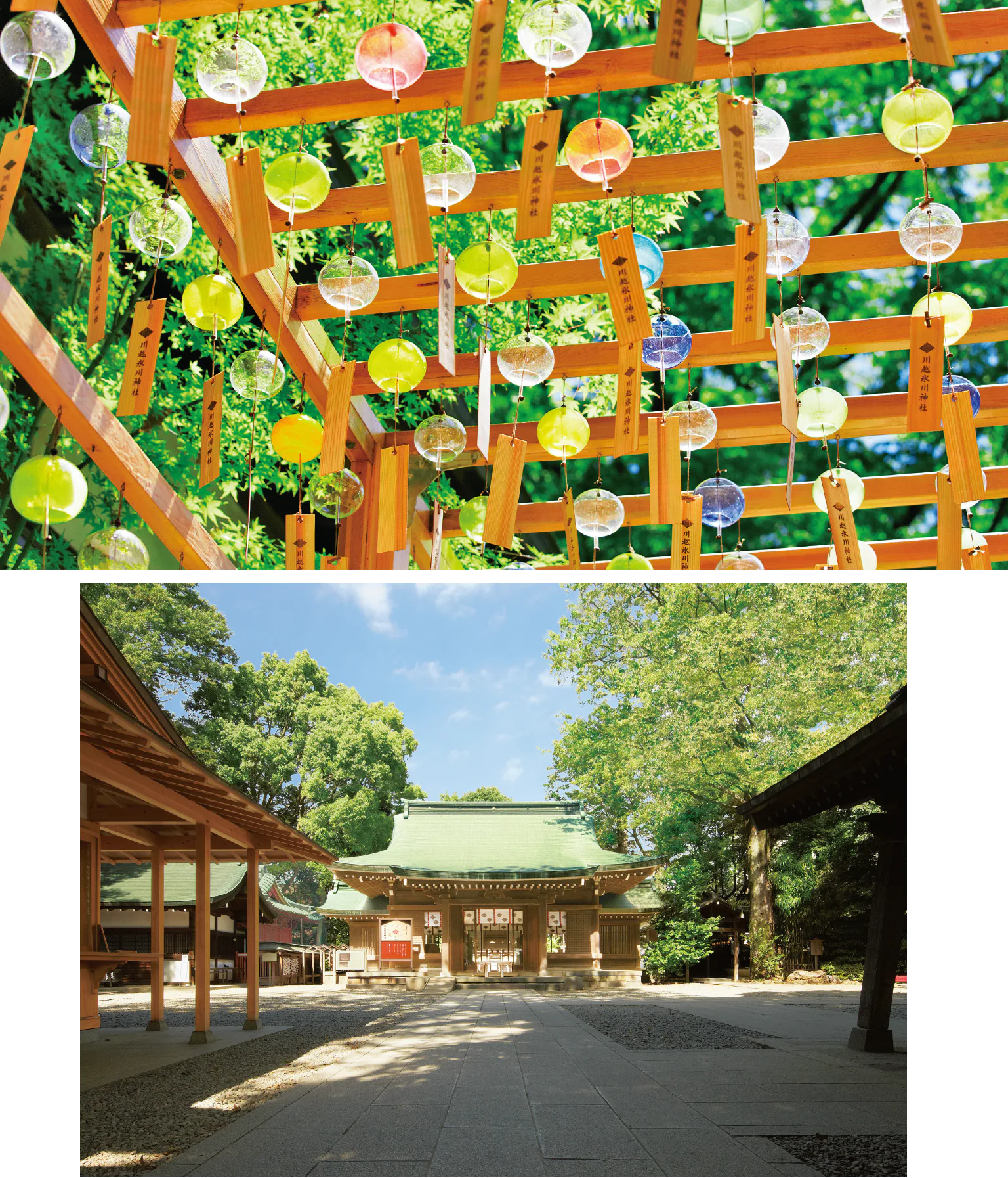 （写真上）毎年7月上旬～9月上旬まで、境内に風鈴の回廊が現れる／（写真下）約1500年前に創建された川越の総鎮守。本殿は県の指定文化財