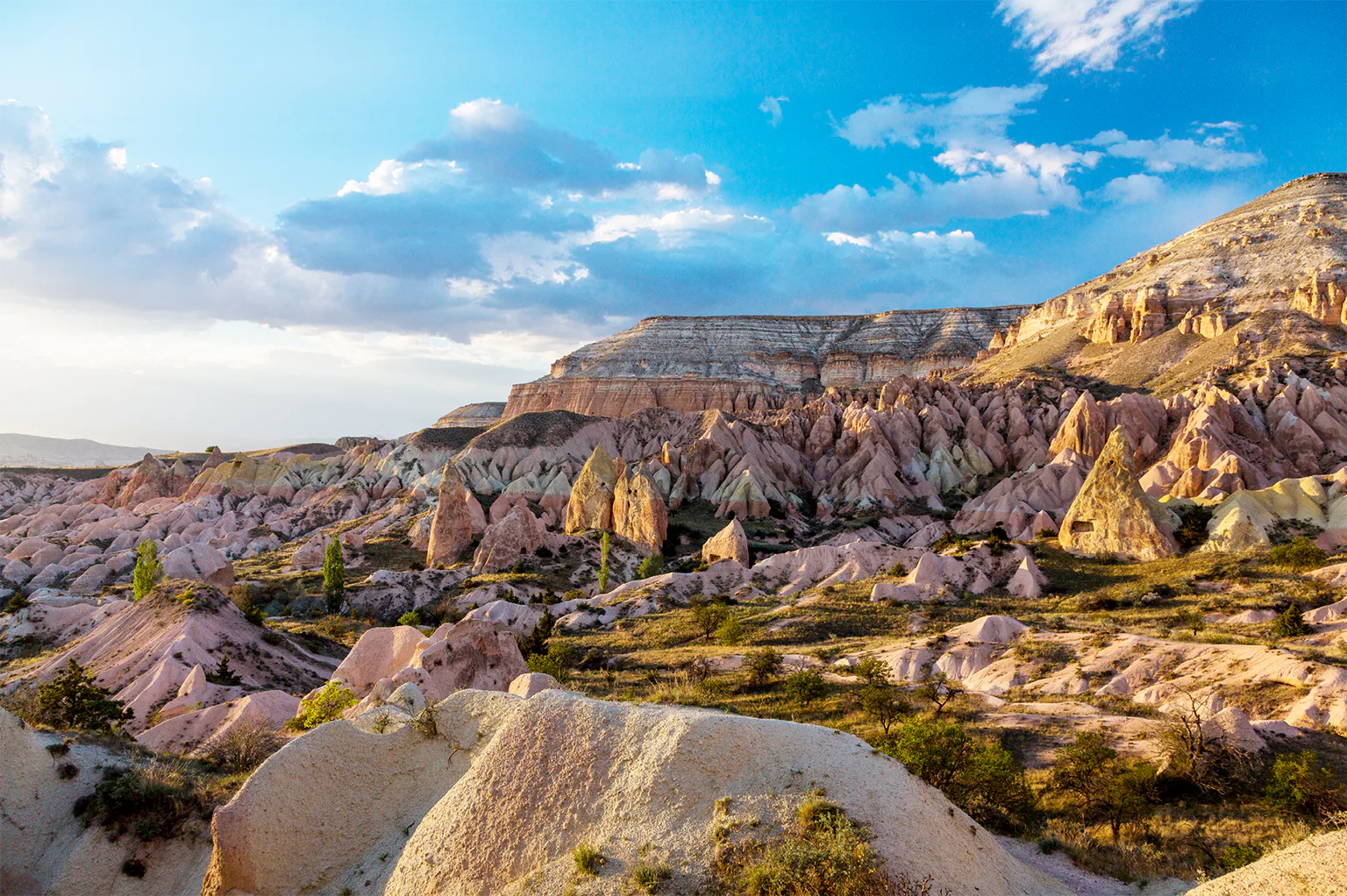 ローズ・ヴァレーの画像