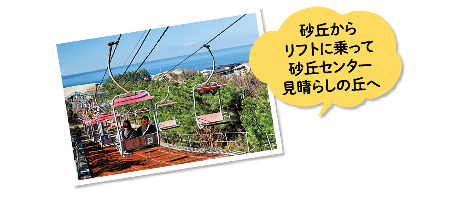 砂丘センター 見晴らしの丘へ