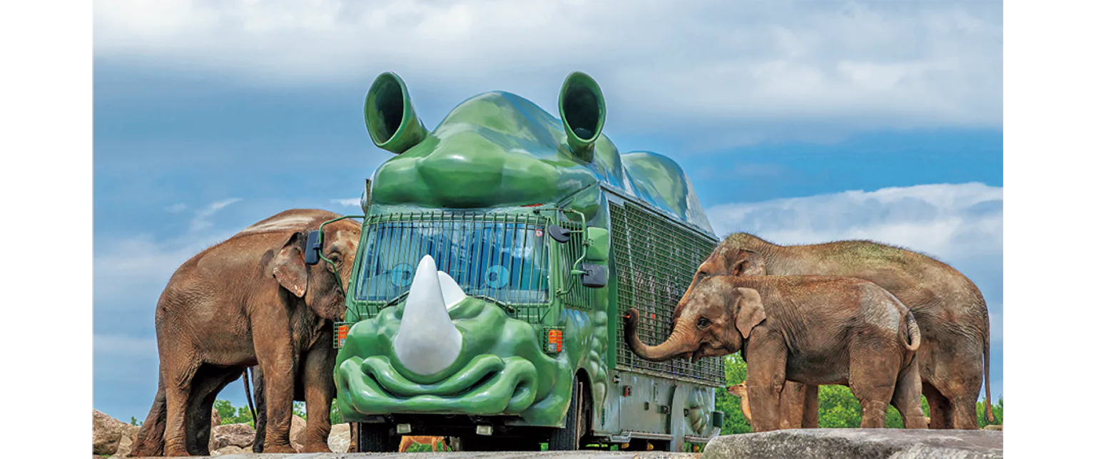 動物型のジャングルバスの画像