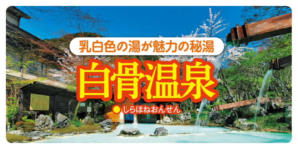 乳白色の湯が魅力の秘湯　白骨温泉（しらほねおんせん）