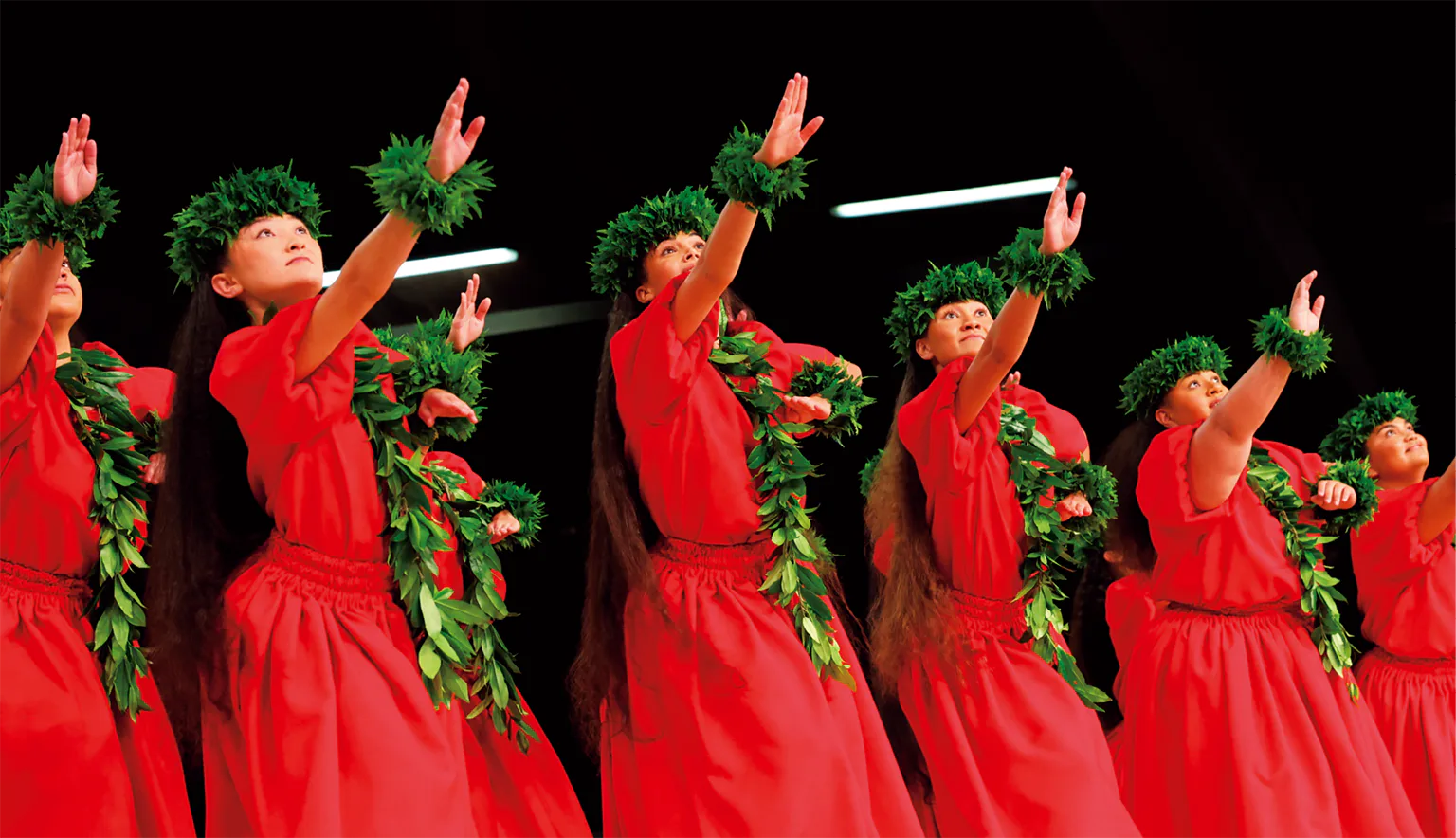 メリー・モナーク・フェスティバルの画像