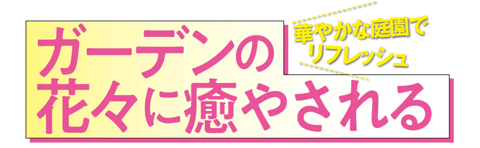 華やかな庭園でリフレッシュ ガーデンの花々に癒やされる