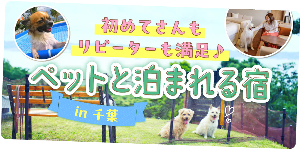 【千葉】ペットと泊まれる宿|宿選びのコツ、アメニティ&設備、マナー・ルールまでまとめてガイド