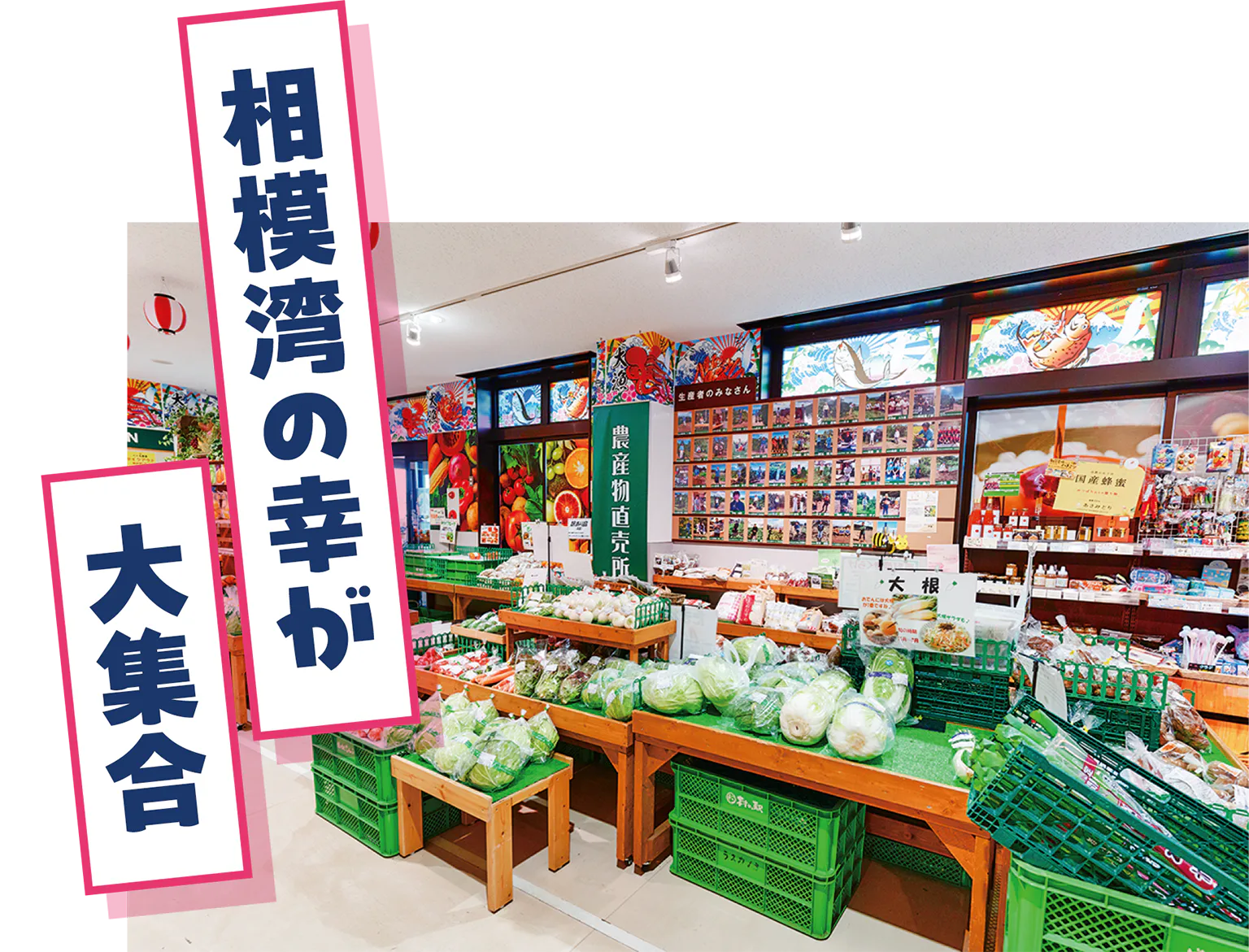 漁港の駅TOTOCO小田原の店内画像／相模湾の幸が大集合の見出し