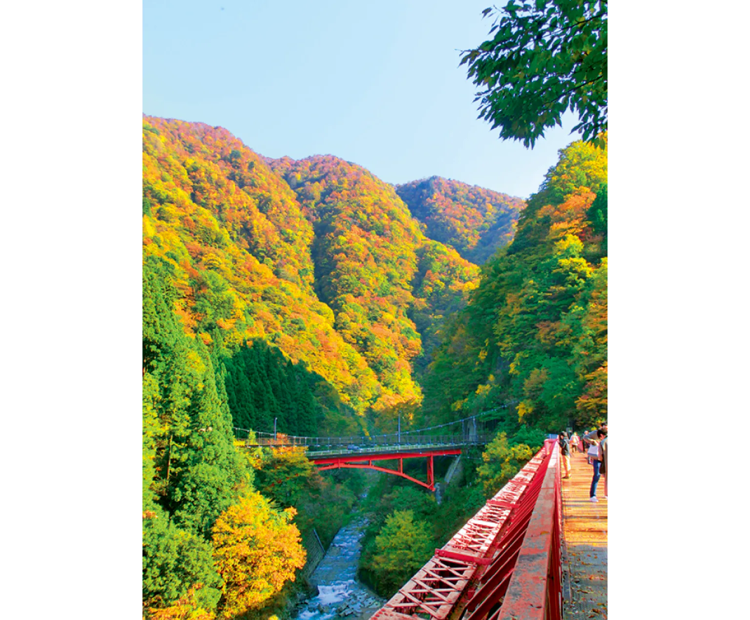 遊歩道の画像①