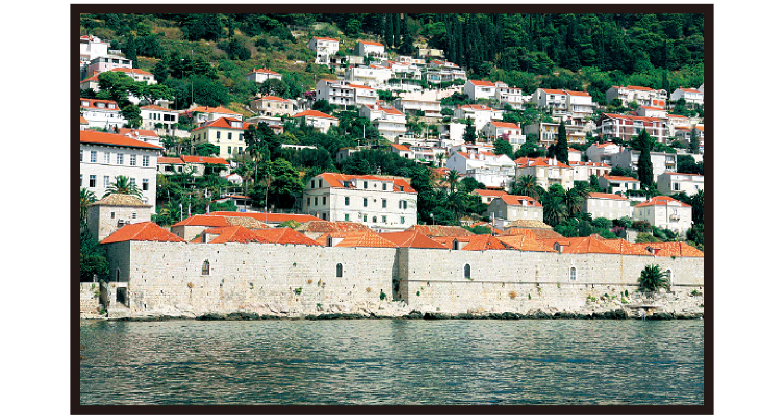 旧港からの紹介画像