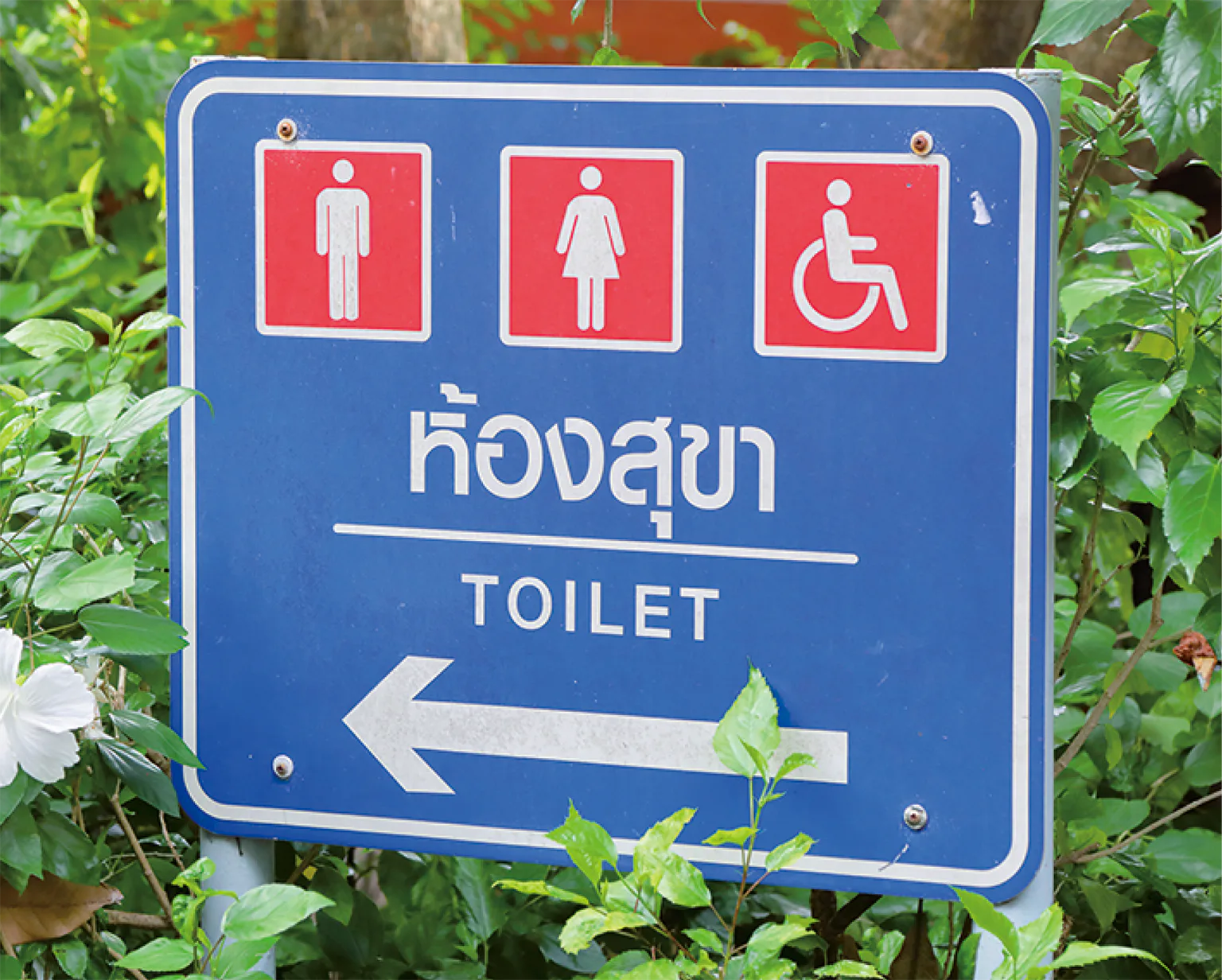 トイレの画像