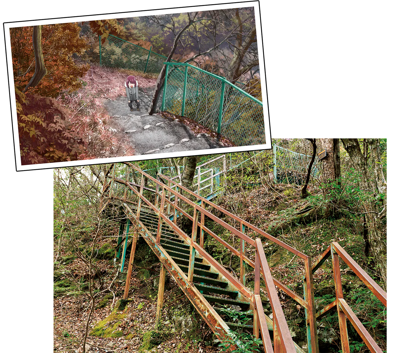 心臓破りの階段の画像