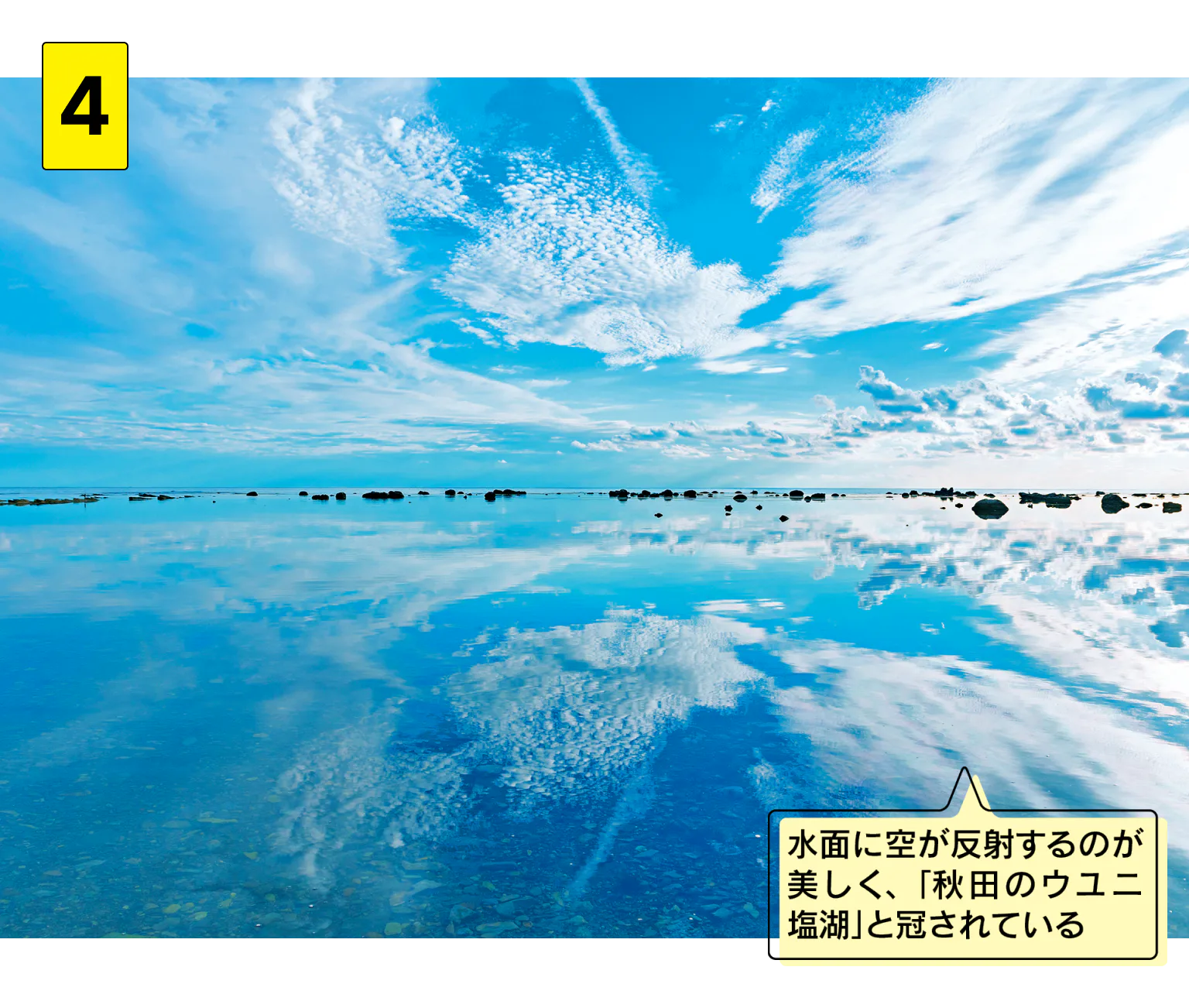 鵜ノ崎海岸 で話題の景色を堪能の画像