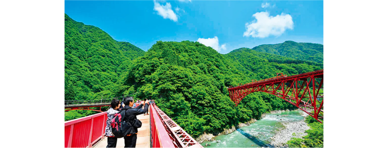 遊歩道の画像②
