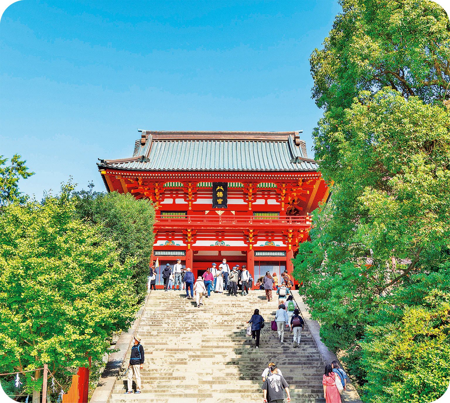 鶴岡八幡宮の外観の画像