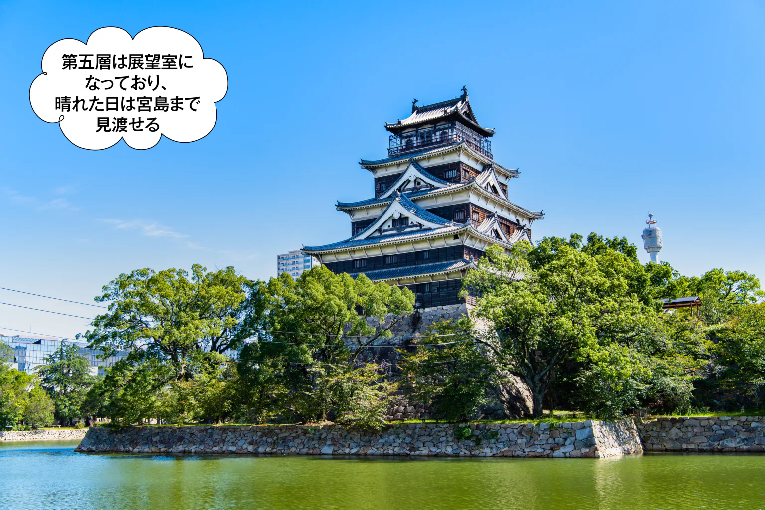 広島城から街を眺めるの画像