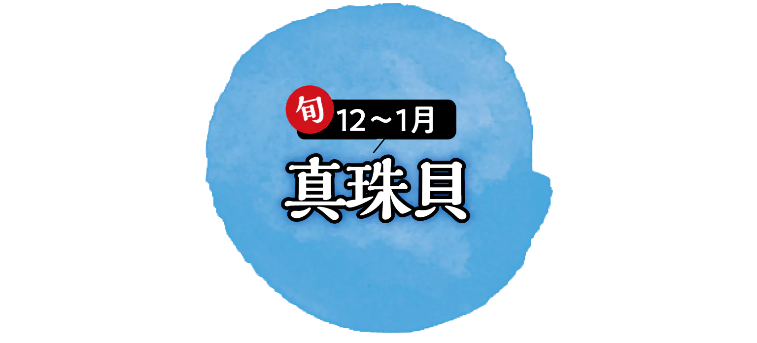 真珠貝の見出し画像