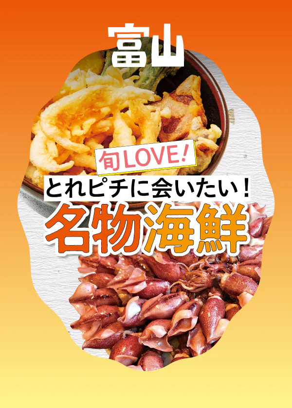 富山の海鮮5選｜旬の海鮮・白エビや紅ズワイガニを人気店や有名店で食べ尽くす