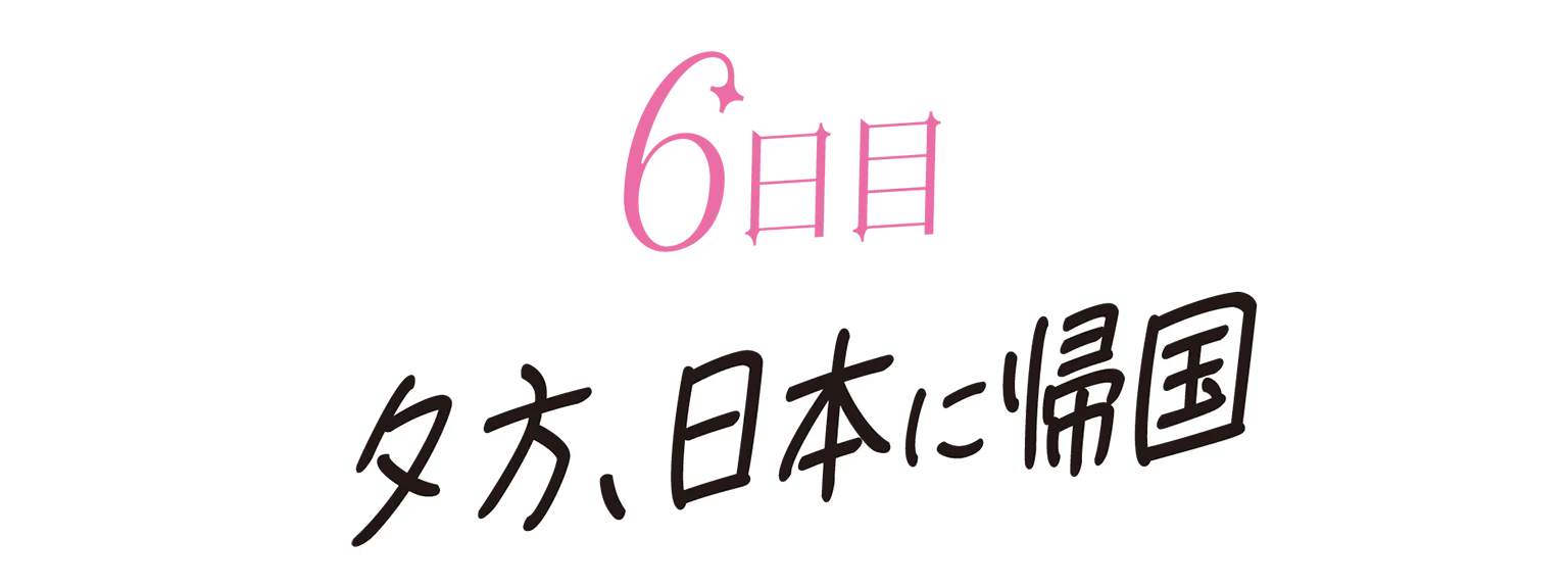 6日目の見出し