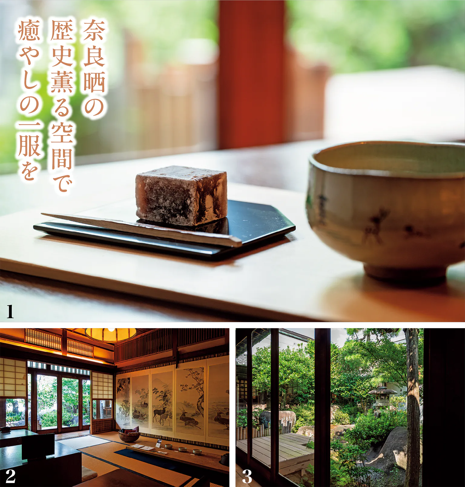 茶論 奈良町店の季節の主菓子と飲物セット、店内画像/奈良晒の歴史薫る空間で癒やしの一服をの見出し