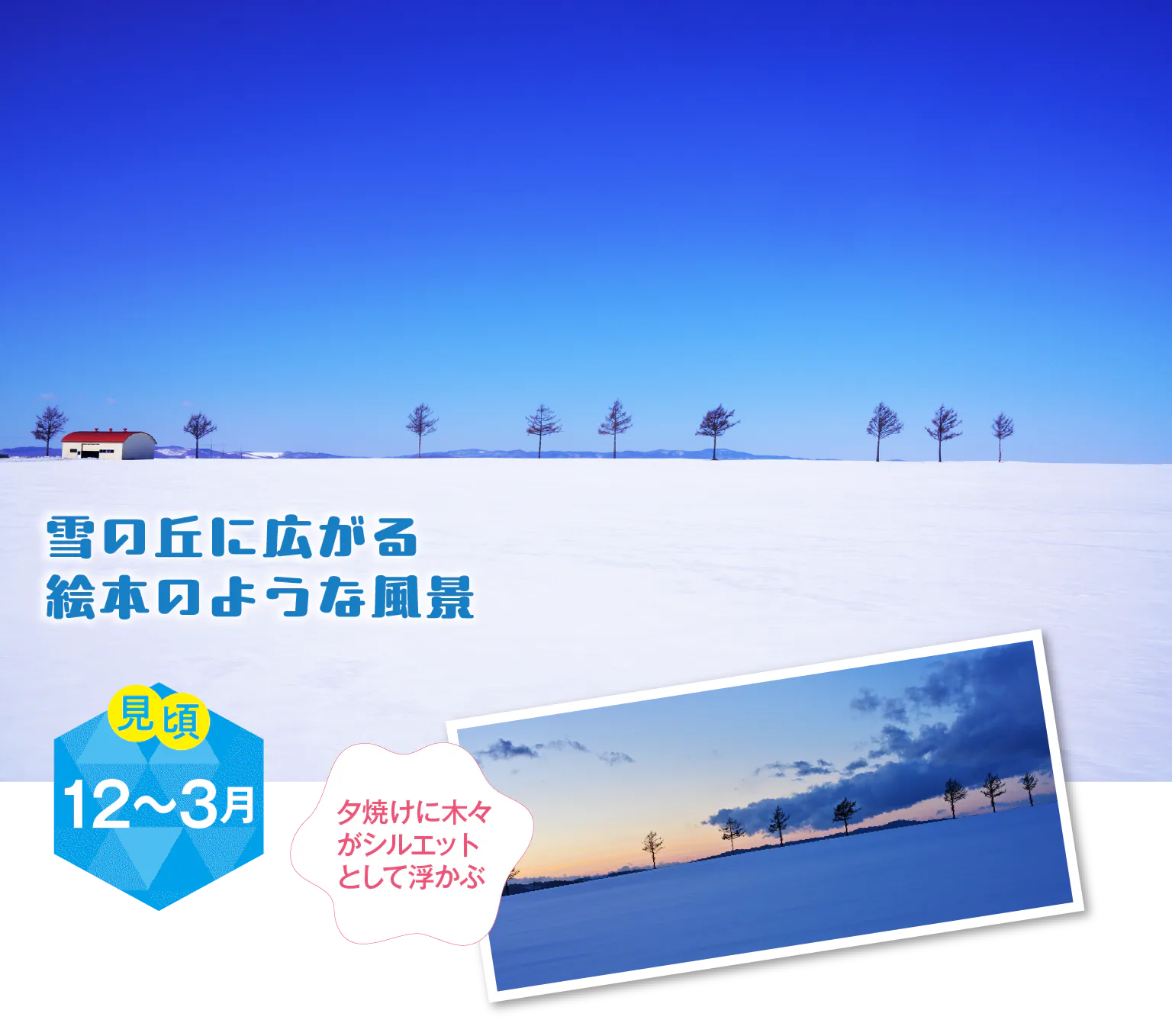 メルヘンの丘の紹介画像