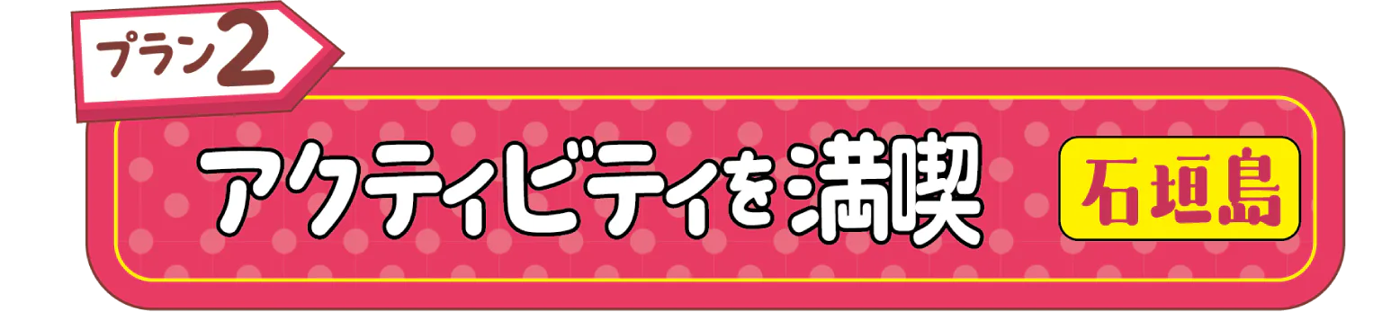 アクティビティを満喫 石垣島見出し