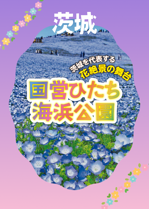 茨城を代表する花絶景の舞台　国営ひたち海浜公園