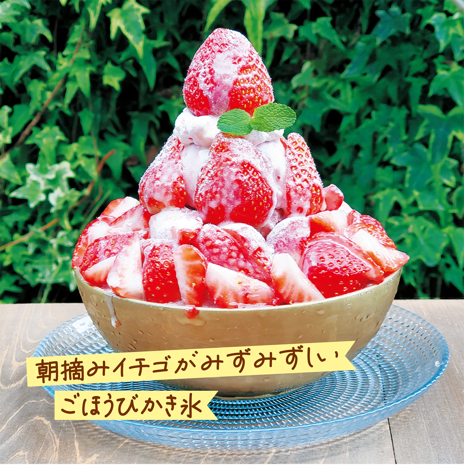 (画像)あすかルビーのプレミアムパッピンス