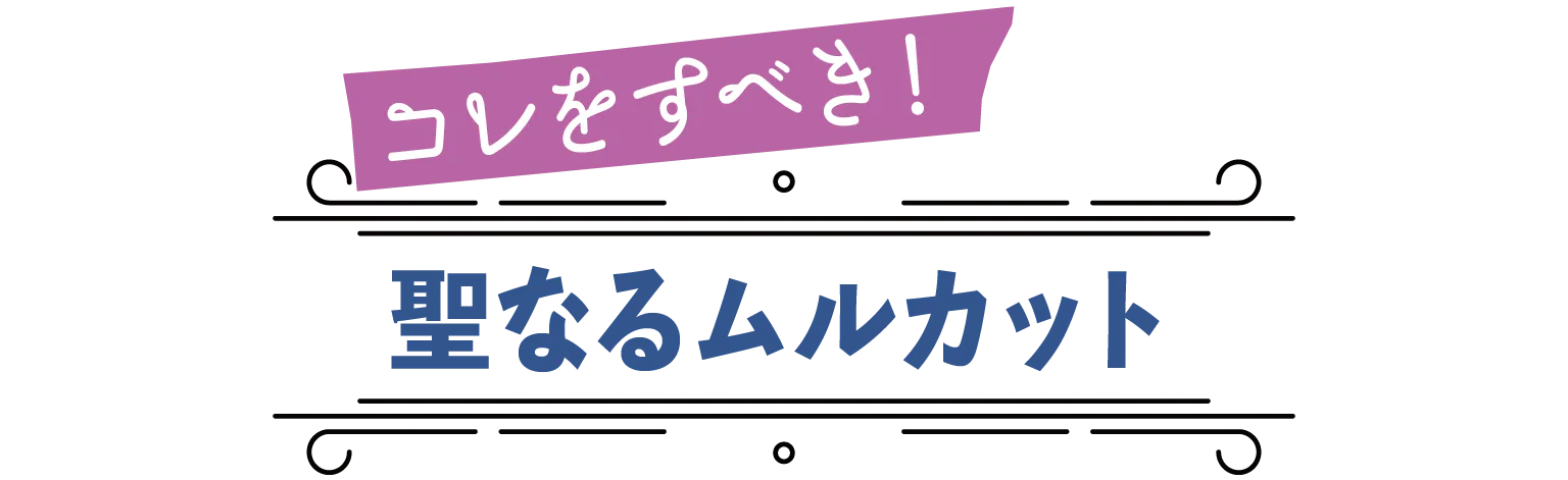 コレをすべき！聖なるムルカットの見出し