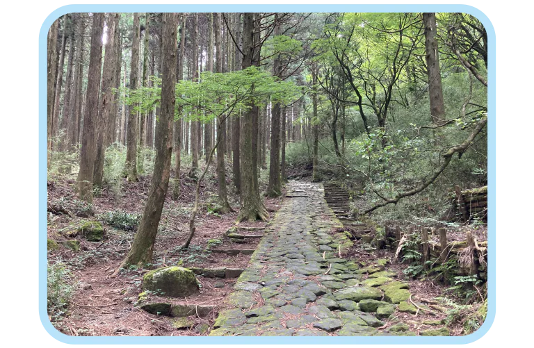 物件3_写真