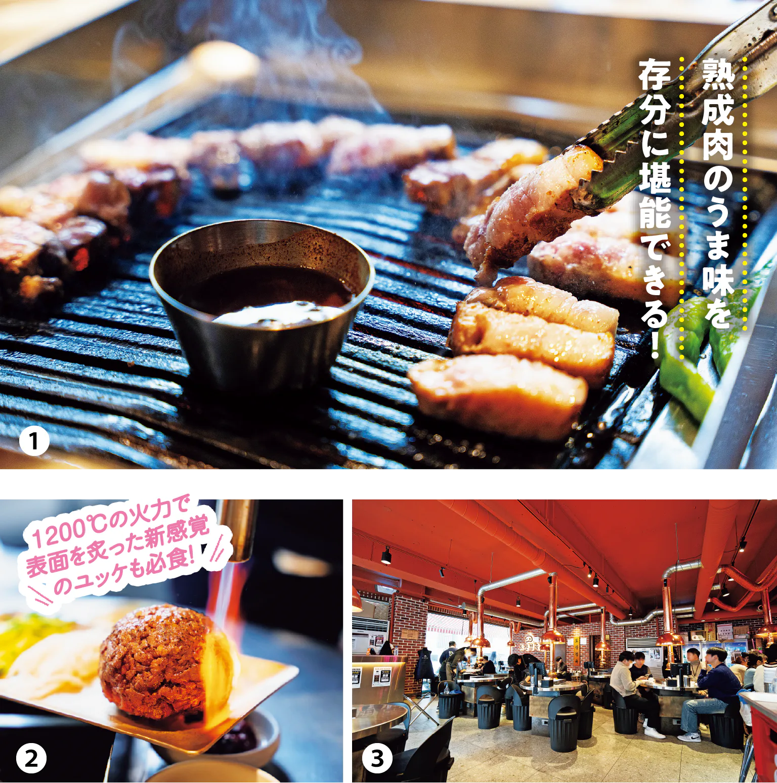 島山精肉