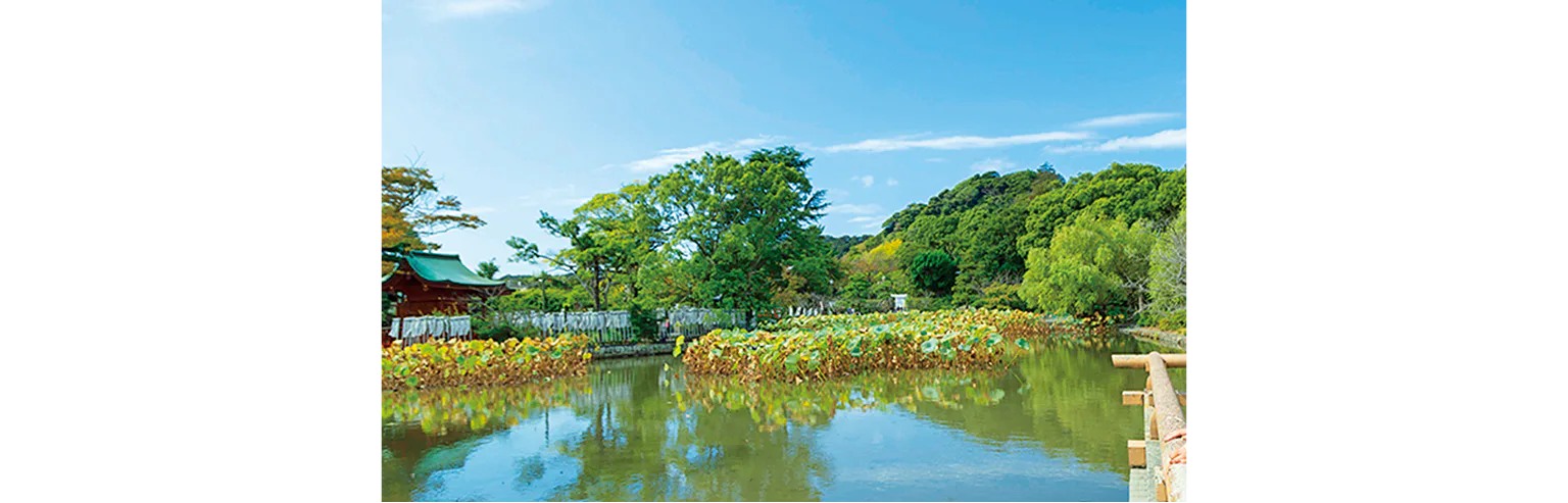 源平池の画像