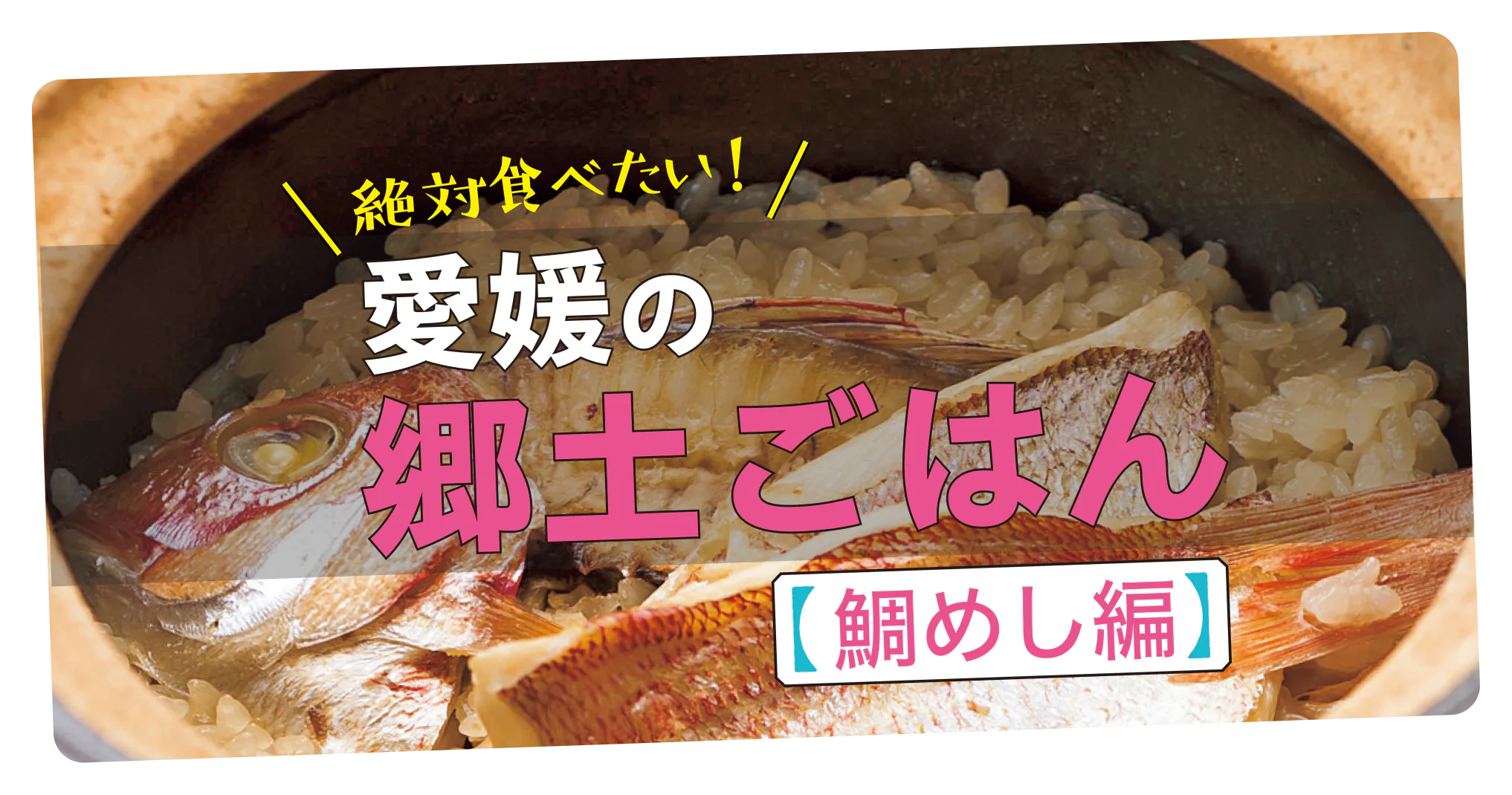 【愛媛の郷土料理】鯛めしは2種類ある！南予の宇和島・中予の松山（北条）のお店