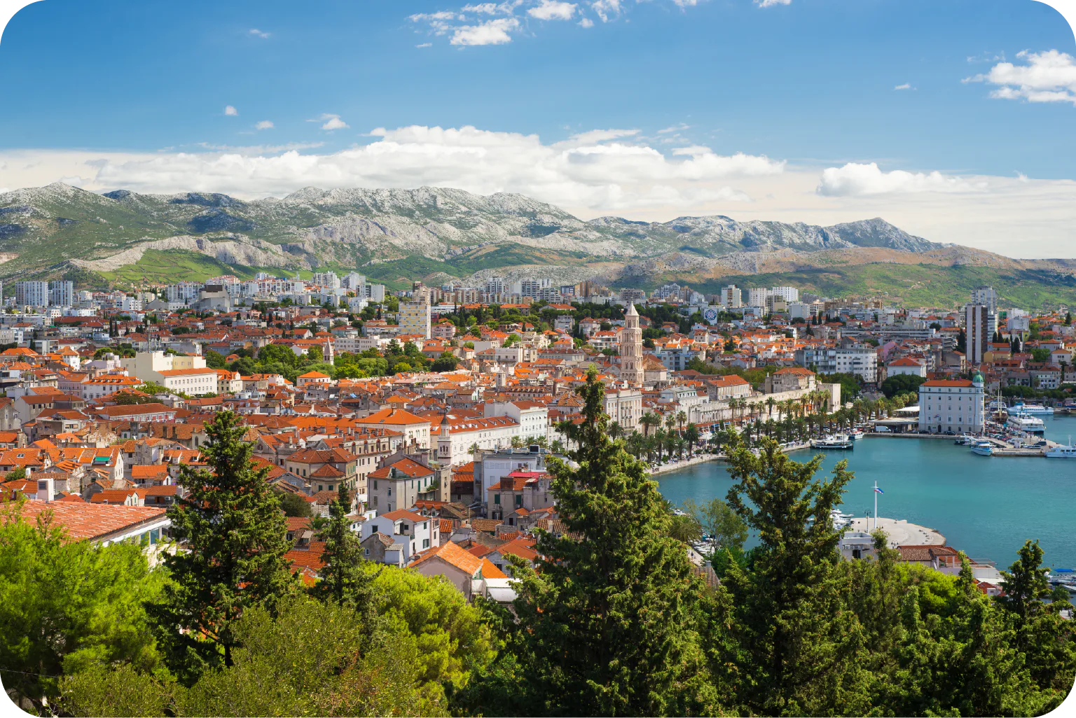 スプリットの画像