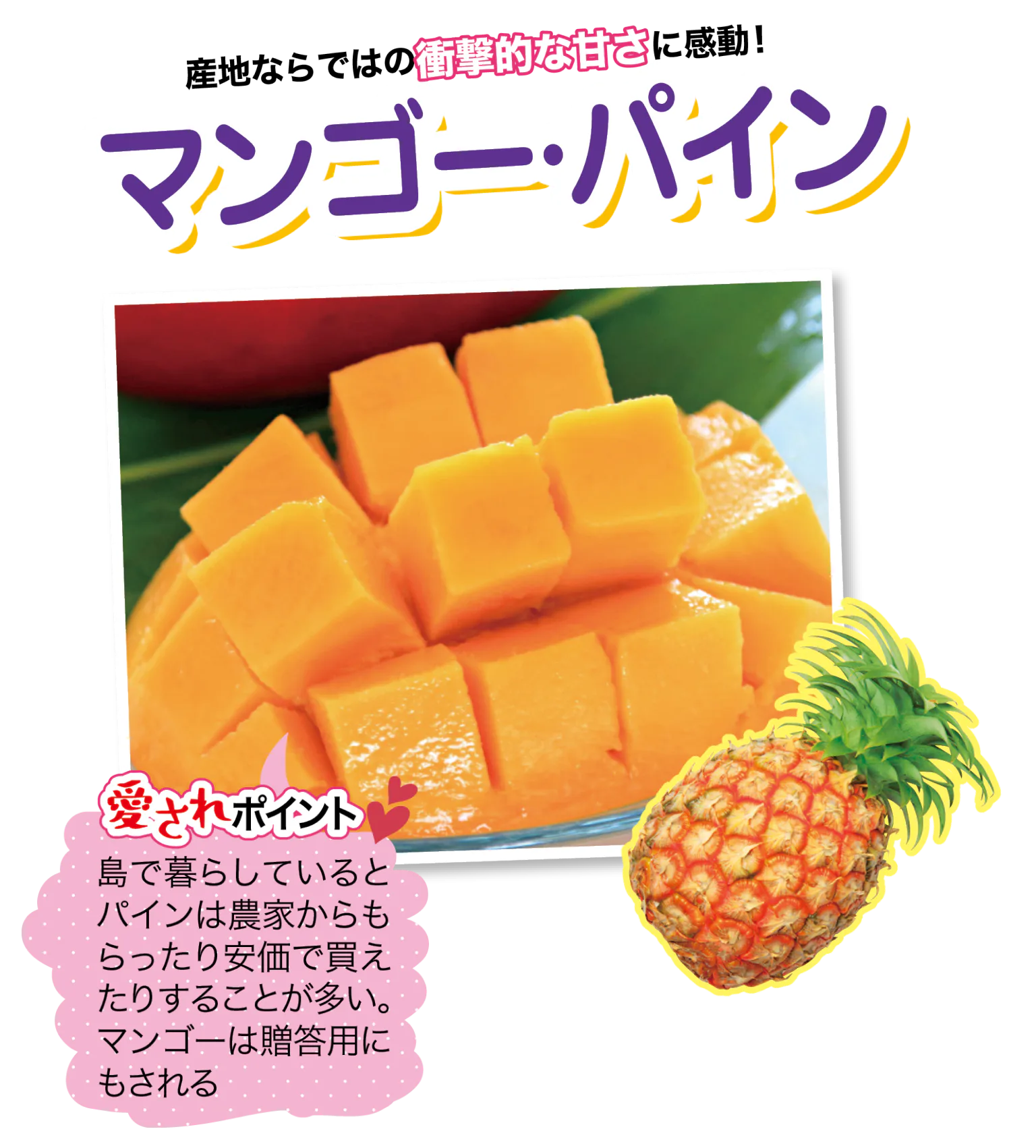 ゆらてぃく市場のマンゴー・パイン画像