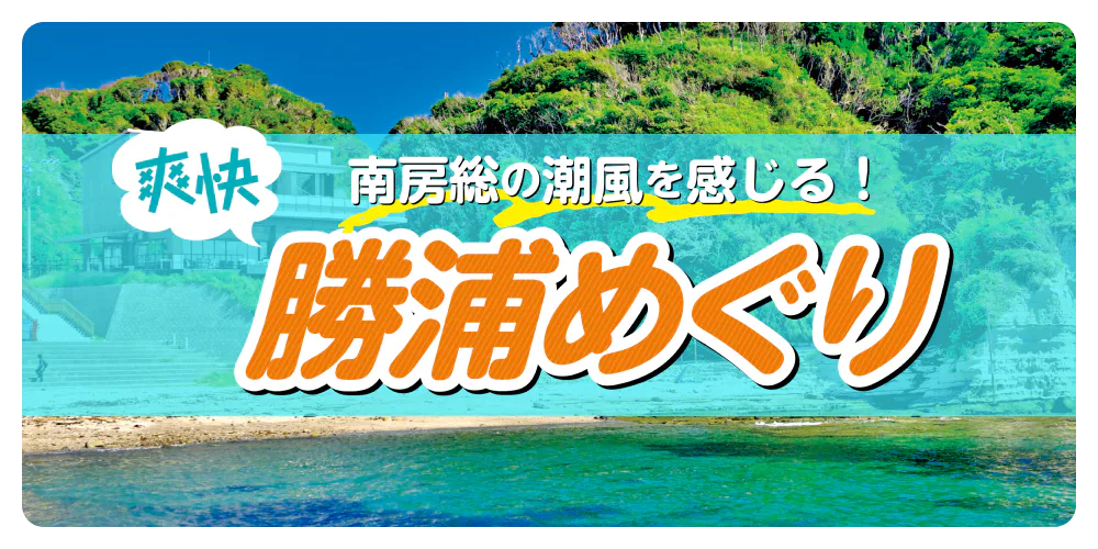 南房総の潮風を感じる！爽快 勝浦めぐり