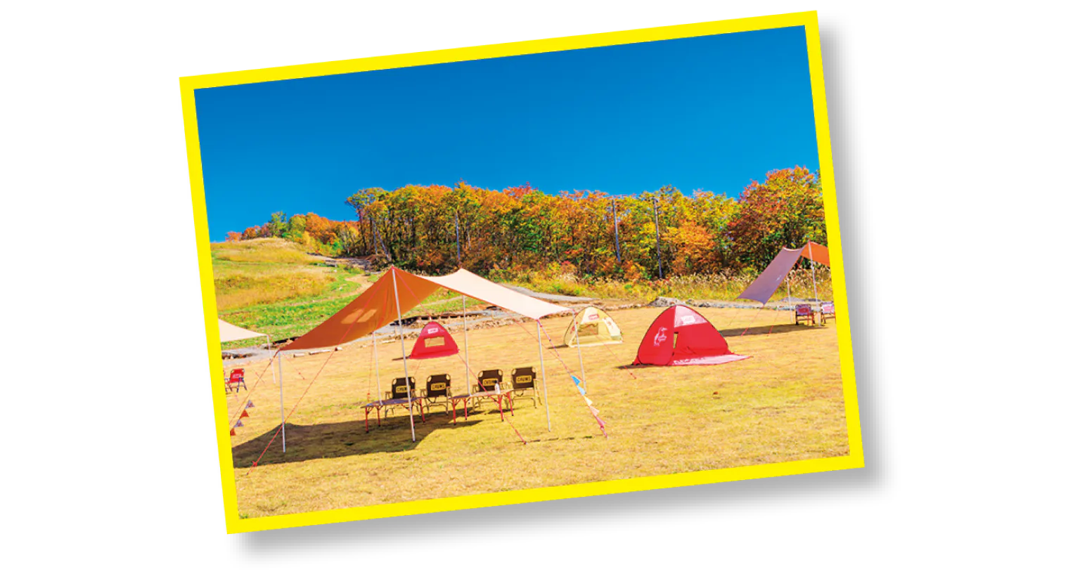 白馬岩岳マウンテンリゾート　キャンプの画像