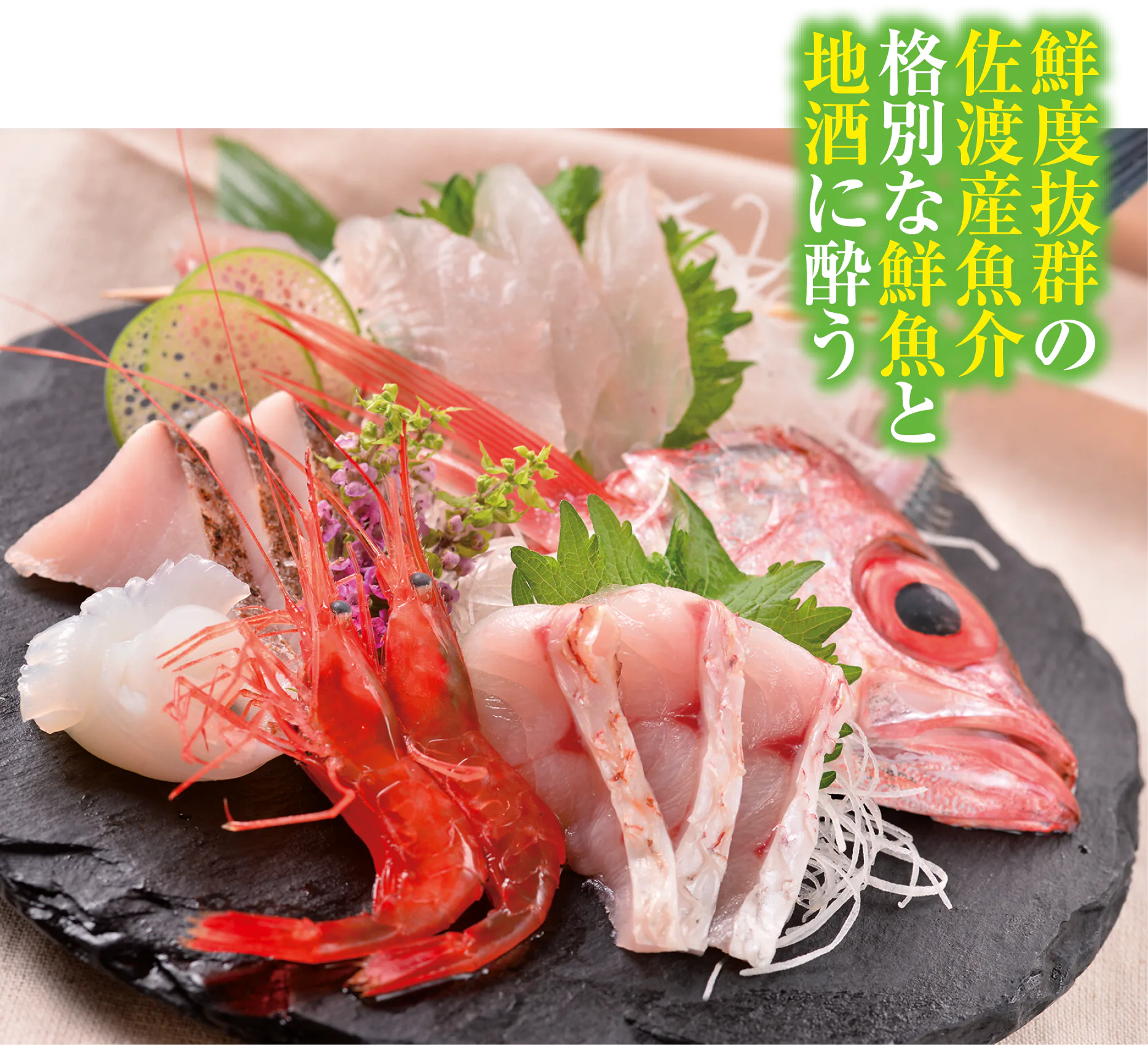 佐渡の地酒と鮮魚 花柚子のお造り5種盛りの画像