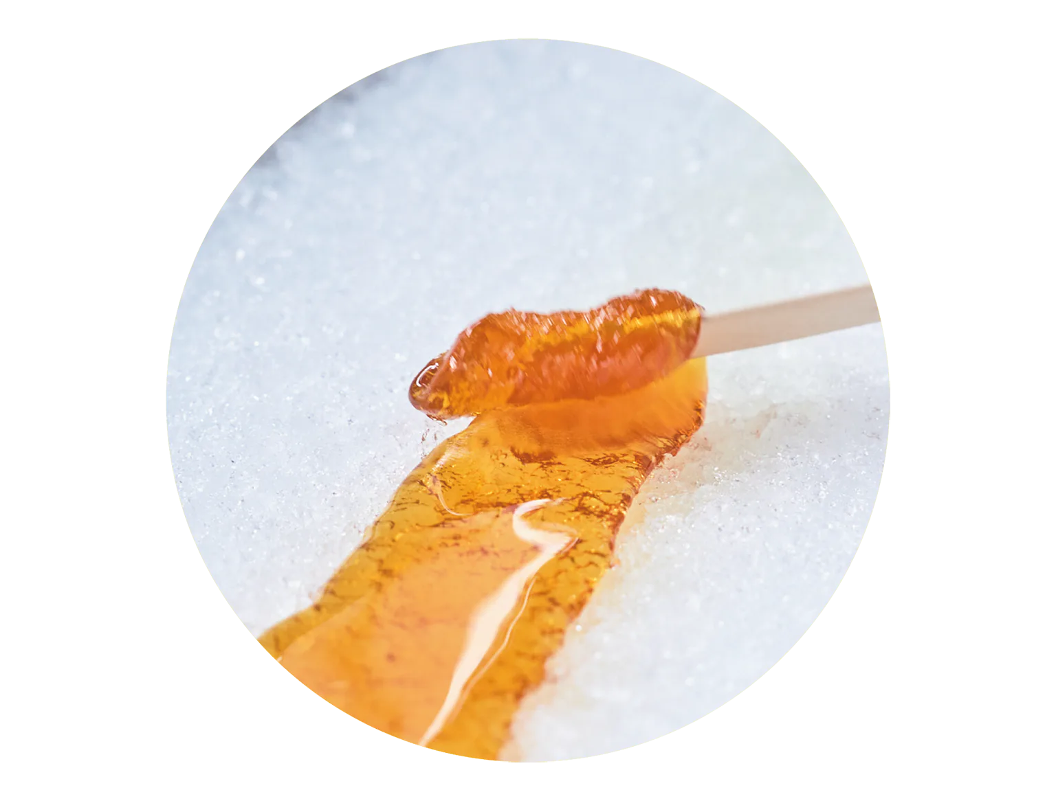 メープルタフィーの画像