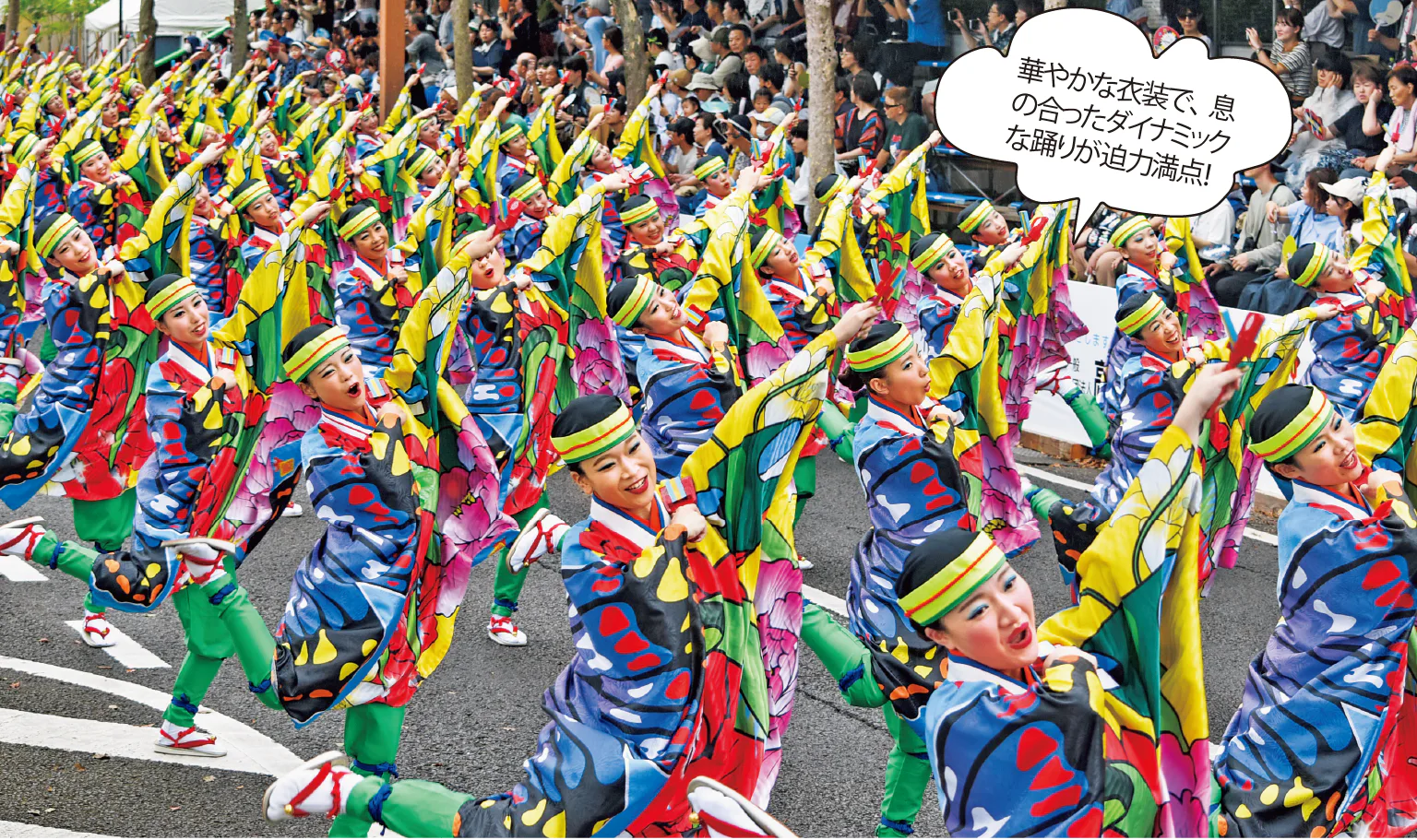 よさこい祭りの紹介画像