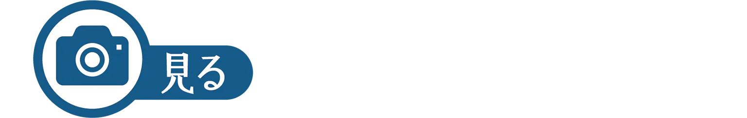 見るのアイコン