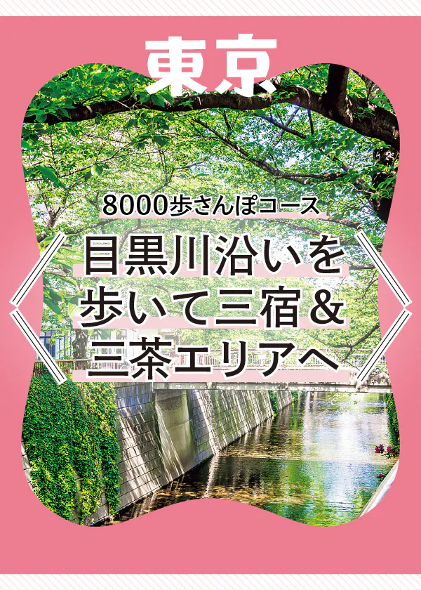 【東京さんぽ】8000歩コース｜目黒川沿いを歩き、三宿＆三茶エリアへ