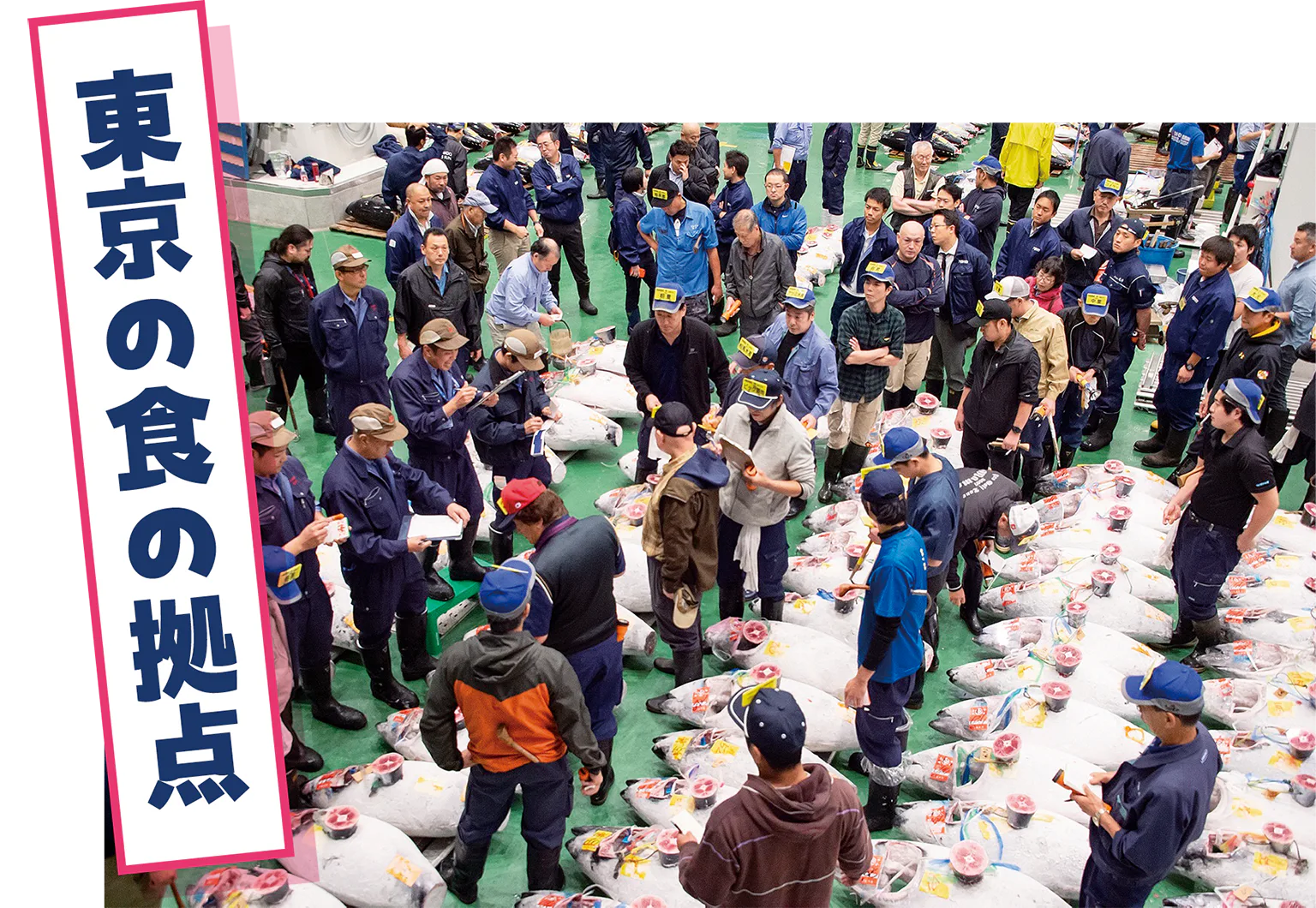 東京都中央卸売市場 豊洲市場の画像